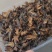 满膏带籽蟋蟀蛐蛐品质保障一手货源批发价量大从优
