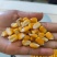 黄玉米粒，200亩种植基地，预计产量达到100吨干玉米粒