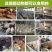 玉米秸秆，200亩玉米秸秆预计10月5号上市，需要的联系