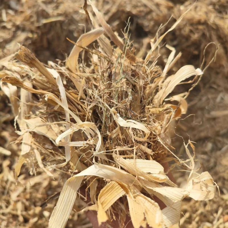 玉米秸秆，200亩玉米秸秆预计10月5号上市，需要的联系