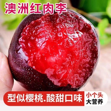 李子.澳洲红.八宝丹口感脆甜.对接电商批发市场出口外贸