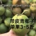 海南天然***新鲜椰子青皮椰青孕妇当季带皮青皮椰子一整箱