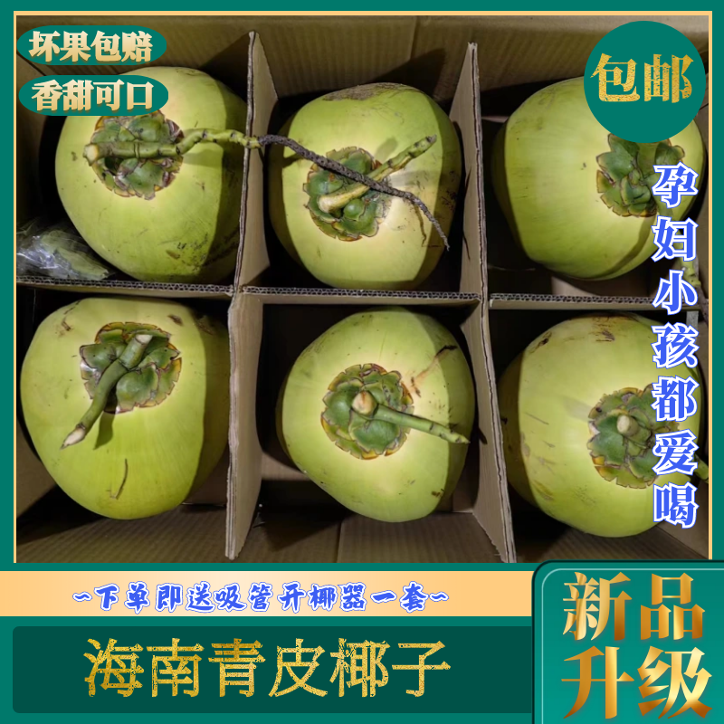 海南天然***新鲜椰子青皮椰青孕妇当季带皮青皮椰子一整箱
