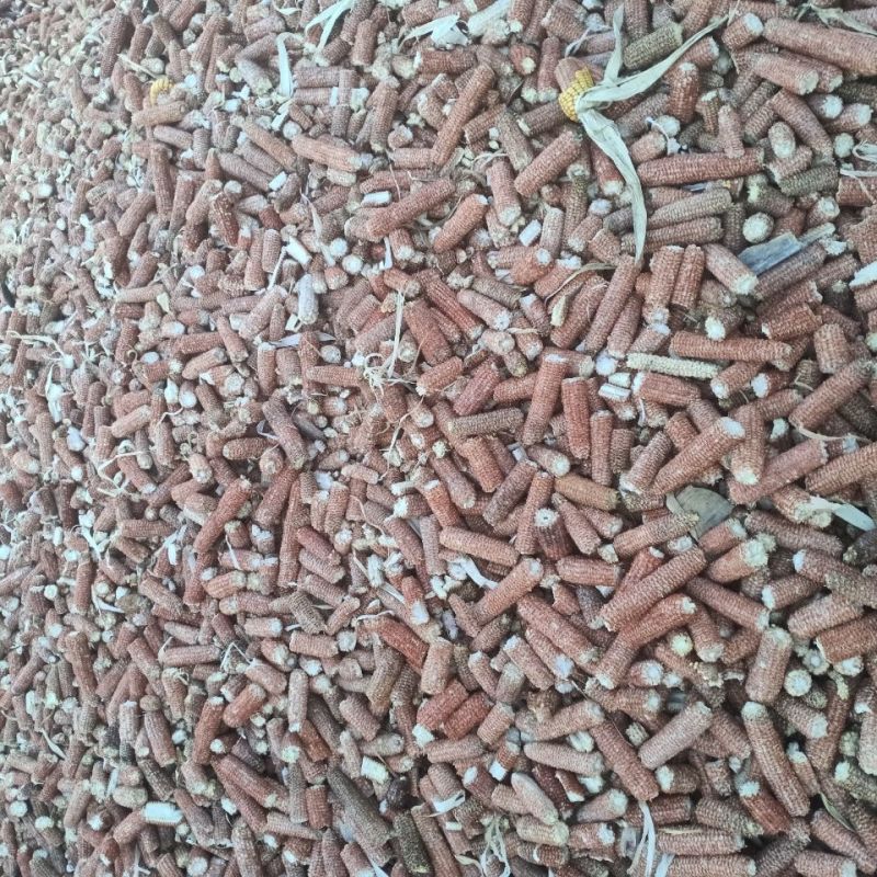 玉米芯棒子，200基地衍生品，需要的老板可以整棒拉走价格