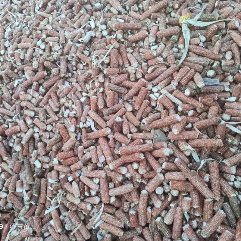 玉米芯棒子，200基地衍生品，需要的老板可以整棒拉走价格