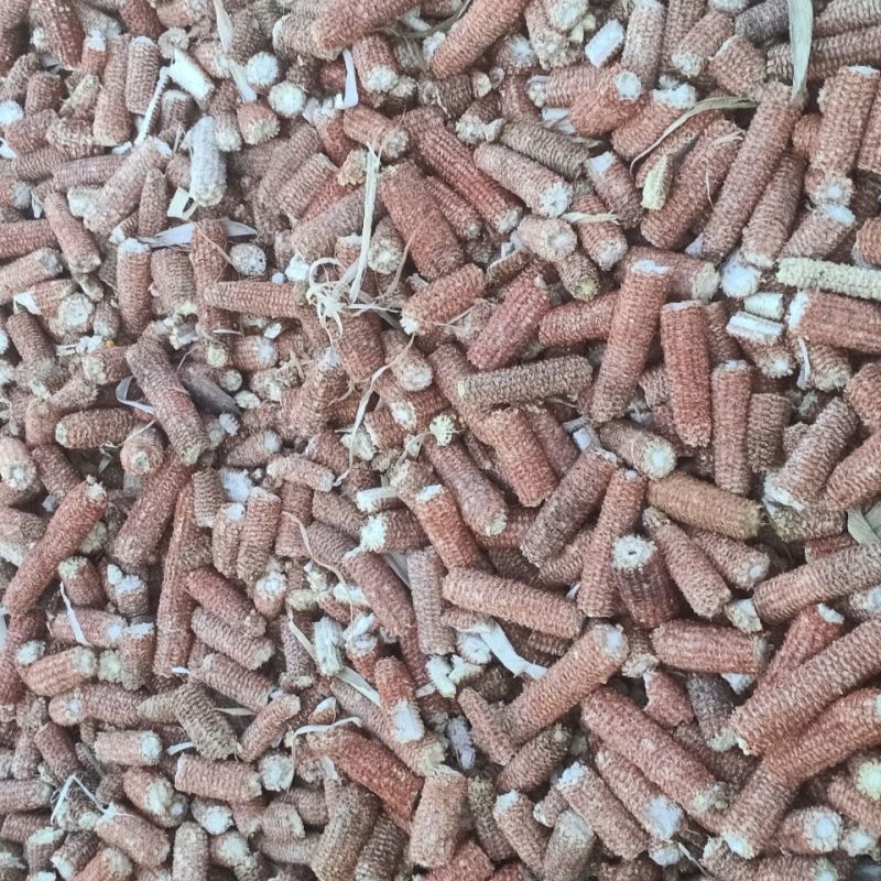 玉米芯棒子，200基地衍生品，需要的老板可以整棒拉走价格