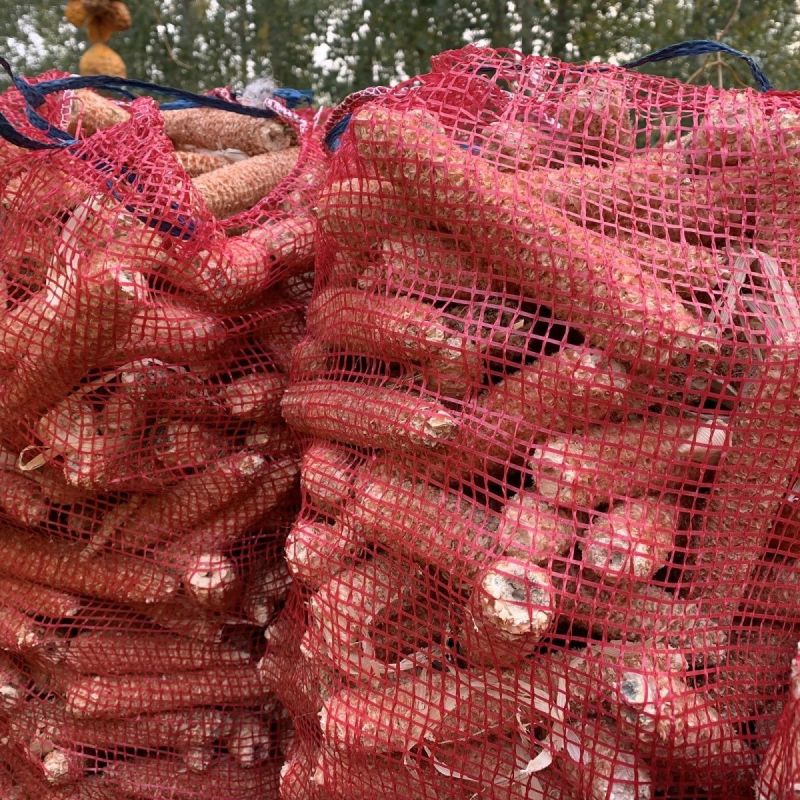 玉米芯棒子，200基地衍生品，需要的老板可以整棒拉走价格