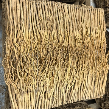 甘肃地产白条党参。