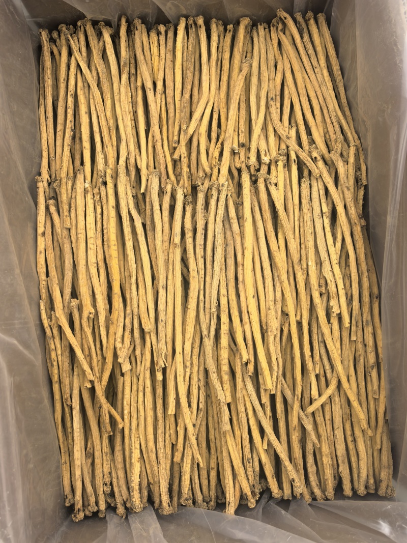 甘肃地产白条党参。