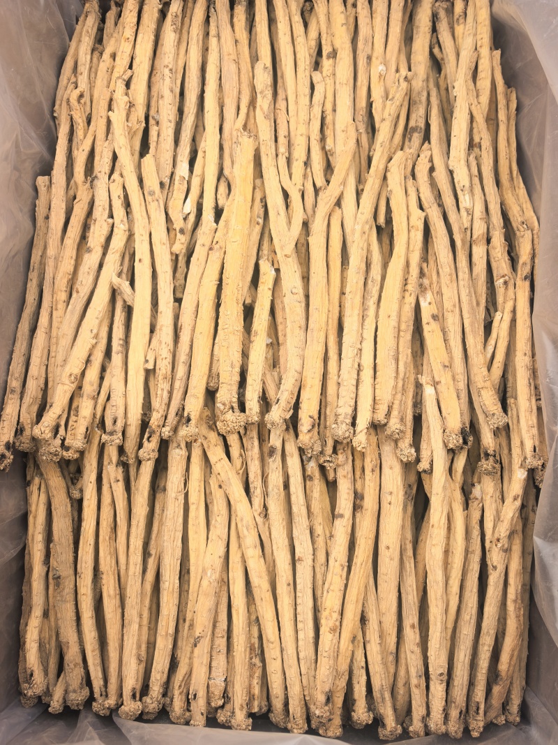 甘肃地产白条党参。