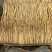 甘肃地产白条党参。