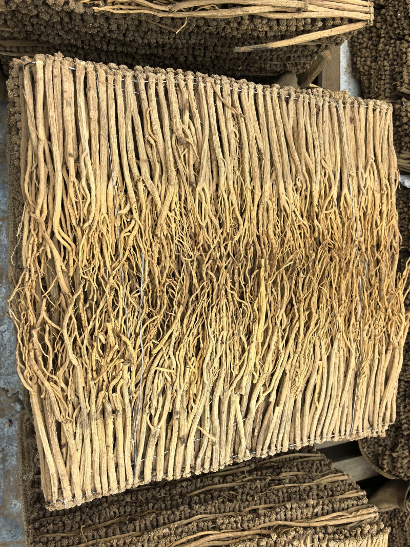 甘肃地产白条党参。