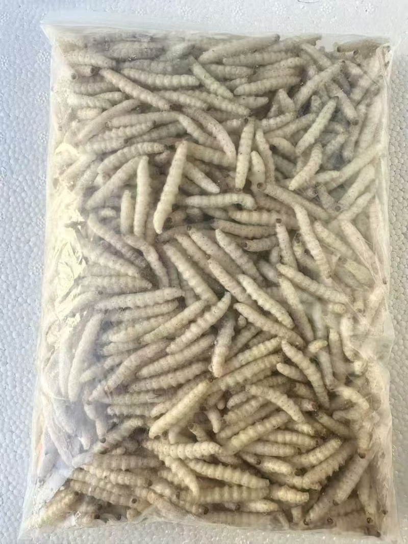 干水熟冻小竹虫来自森山老林别具一味的竹香美味可口