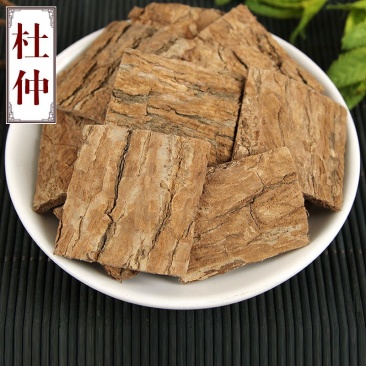 杜仲皮