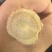 新疆红皮甘草
