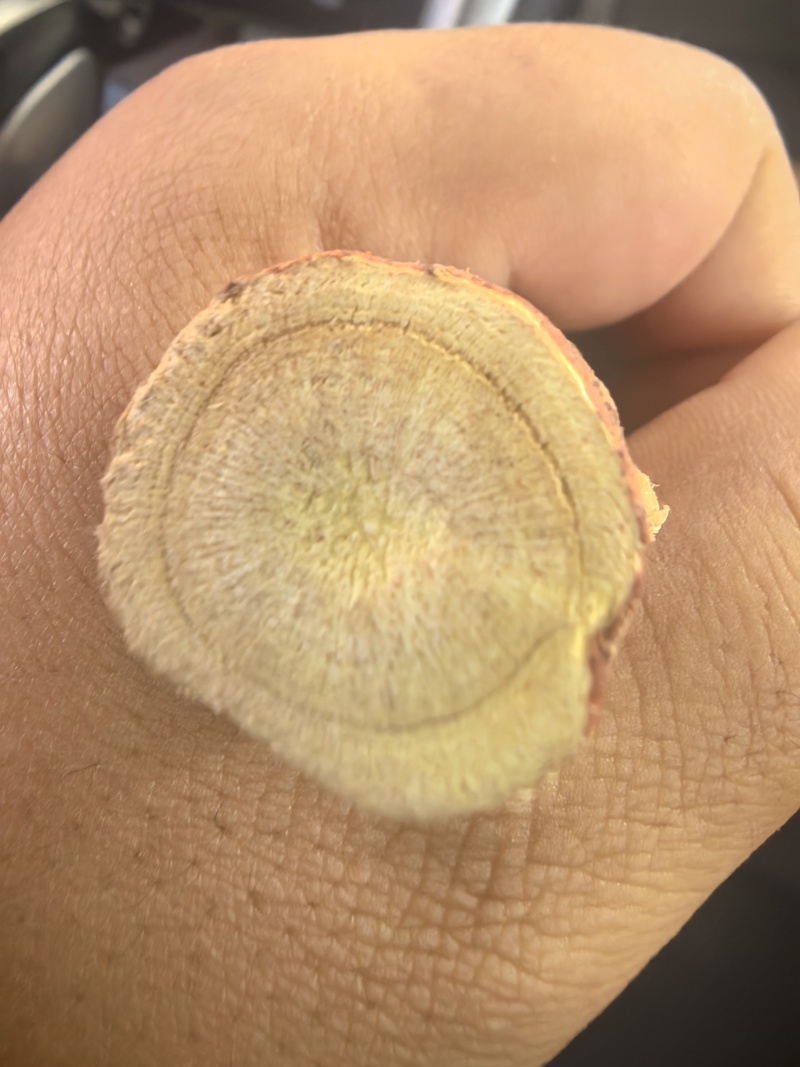 新疆红皮甘草