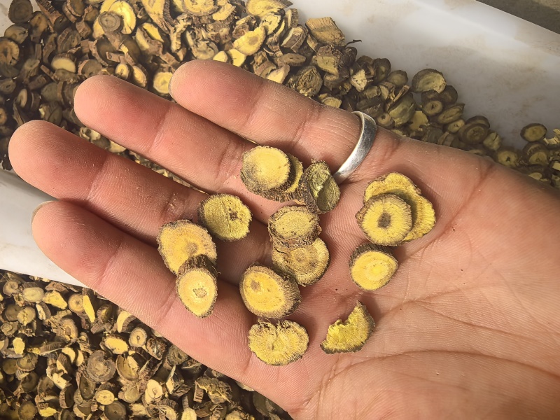 新疆红皮甘草