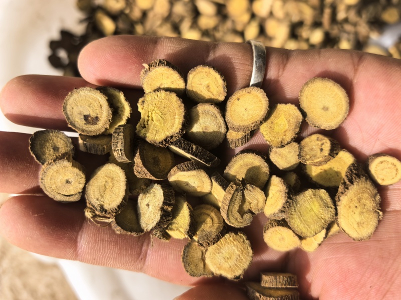 新疆红皮甘草
