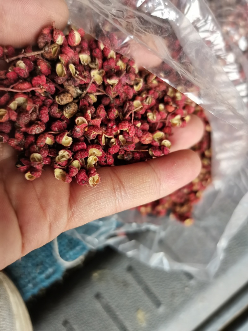 【精选】陕西渭南干大红袍花椒颜色红麻味足品质保障可视频