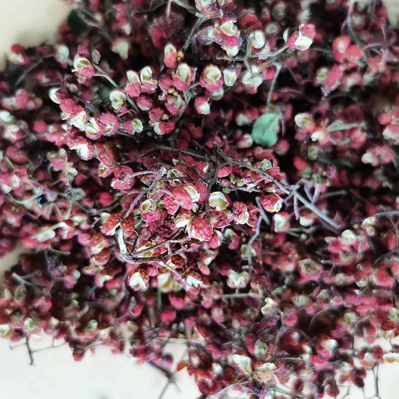 【精选】陕西渭南干大红袍花椒颜色红麻味足品质保障可视频