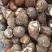 福建芋头牛奶芋大量供应货源充足，量大从优产地直发
