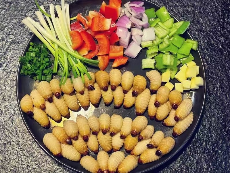 熟冻竹笋虫椰子虫大竹虫质量保证价格实惠量大可谈