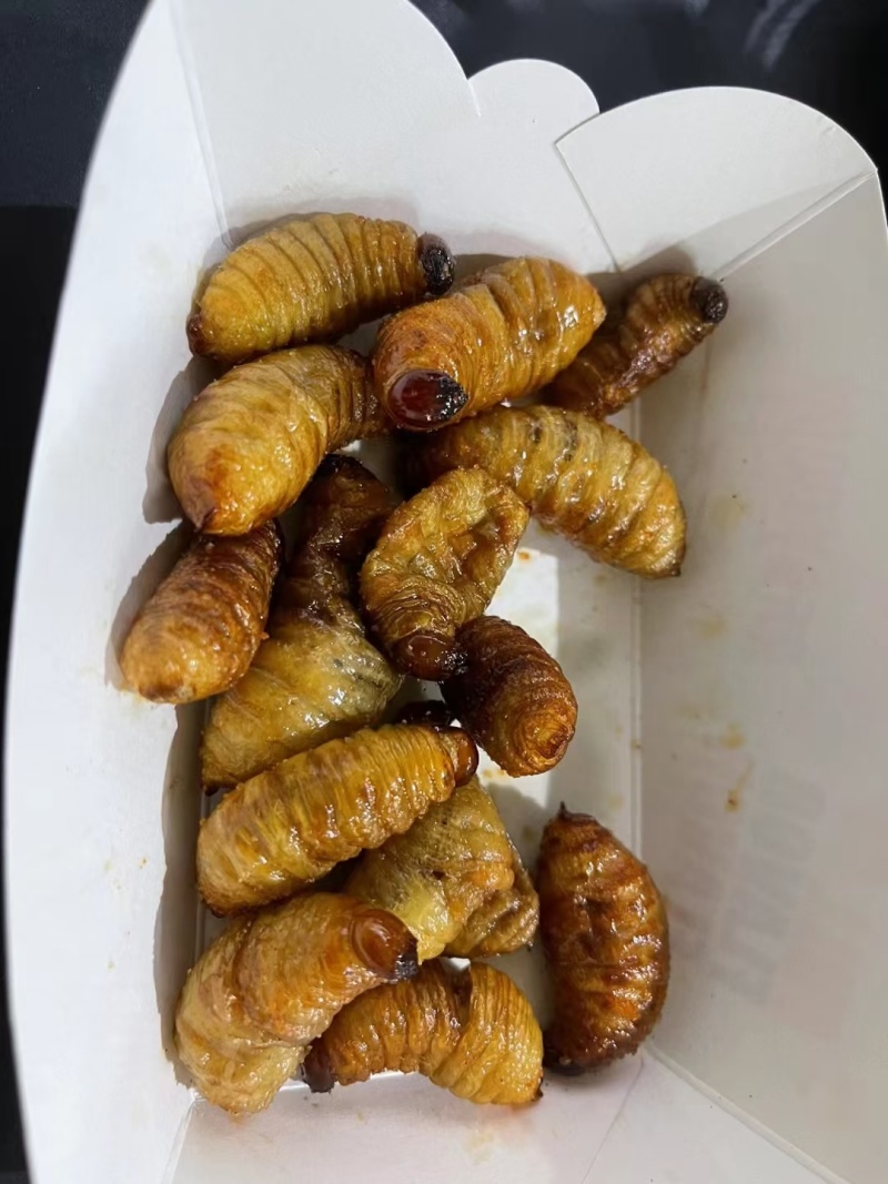 熟冻竹笋虫椰子虫大竹虫质量保证价格实惠量大可谈