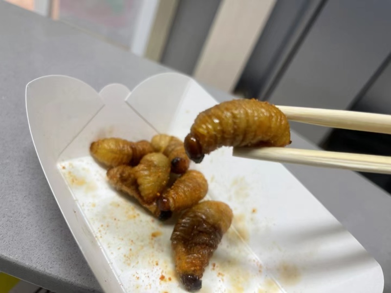 熟冻竹笋虫椰子虫大竹虫质量保证价格实惠量大可谈