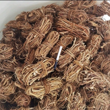 五指毛桃干货无硫磺无包心（精品）小扎把产地直发，大量现货
