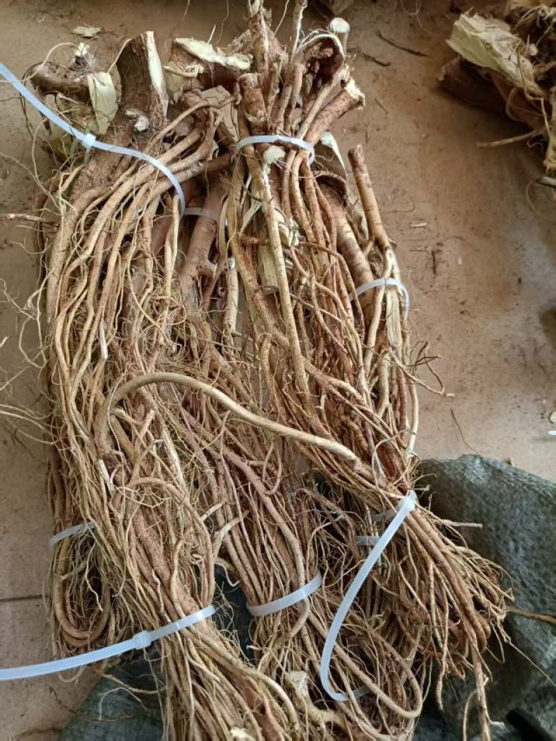 五指毛桃干货无硫磺无包心（精品）小扎把产地直发，大量现货