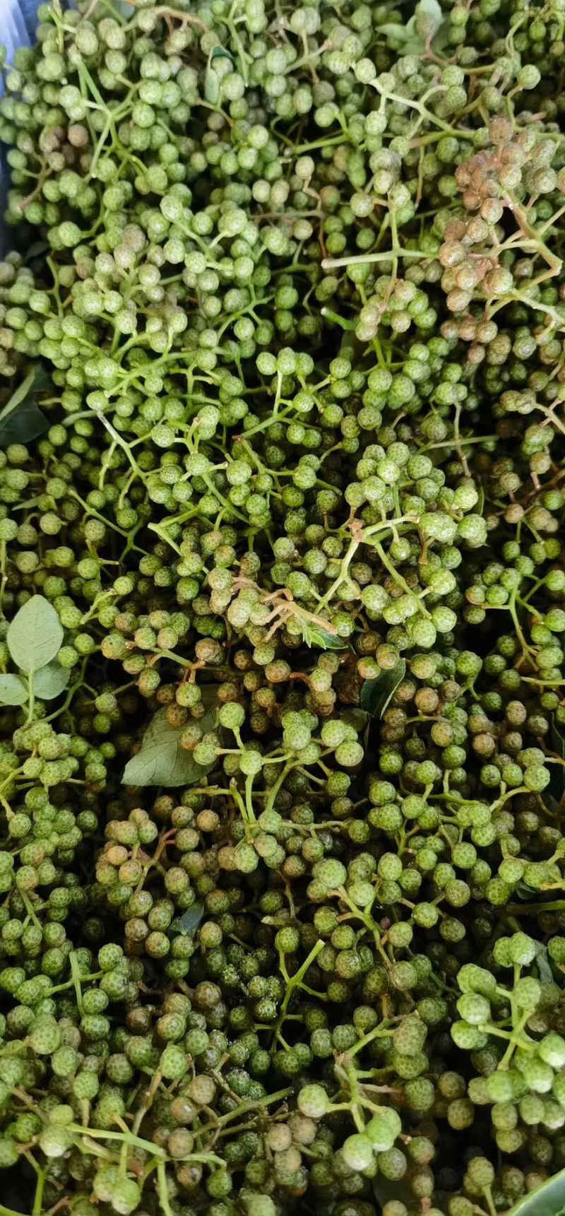 【每日推荐】陕西渭南干青花椒颗粒产地直发品质保障量大从优