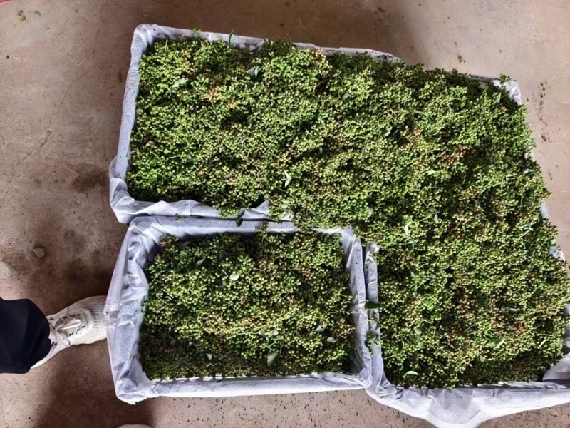 【每日推荐】陕西渭南干青花椒颗粒产地直发品质保障量大从优