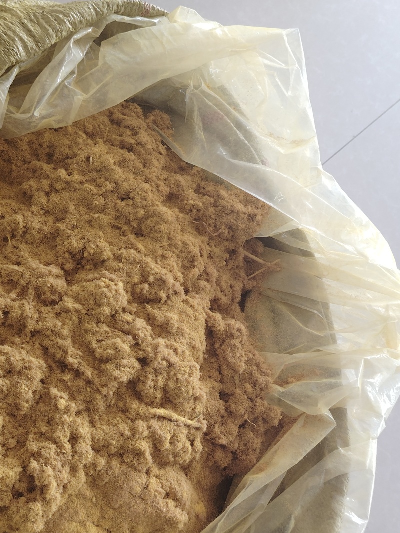 山东精品蒲黄统货