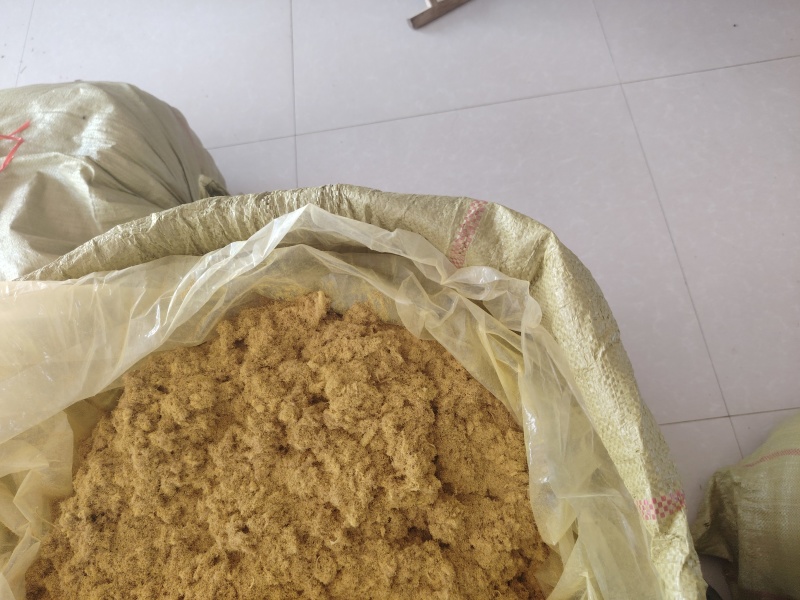 山东精品蒲黄统货