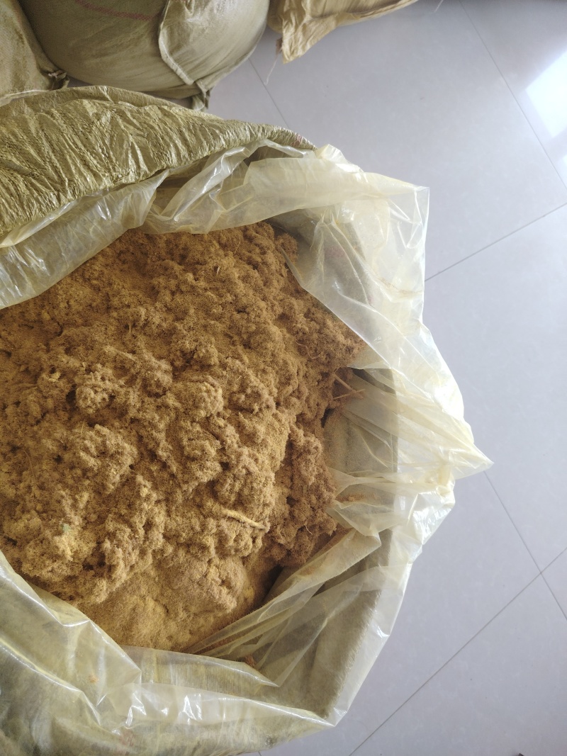 山东精品蒲黄统货