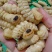 广东本土熟冻木哈虫大柴虫质量品质保证大量批发长期合