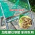 小型花生摘果机干湿两用花生脱粒机手动摔花生摘花生专用