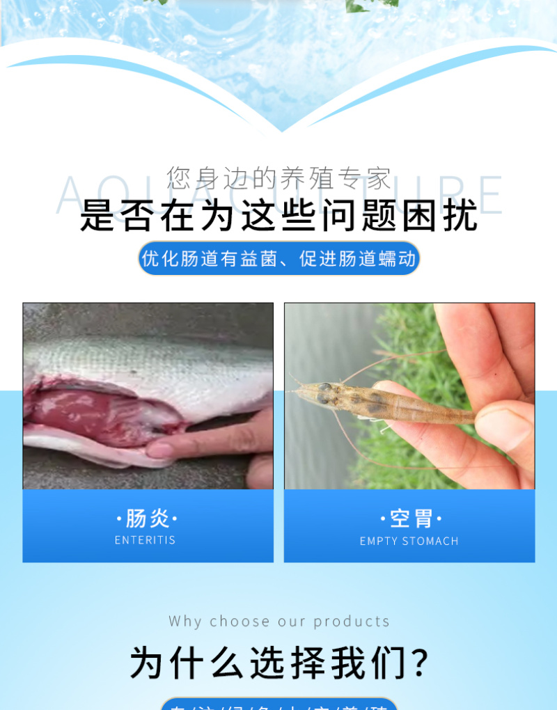 渔丹畅乐混合型水产饲料添加剂鱼虾蟹水产养殖专用枯草芽孢