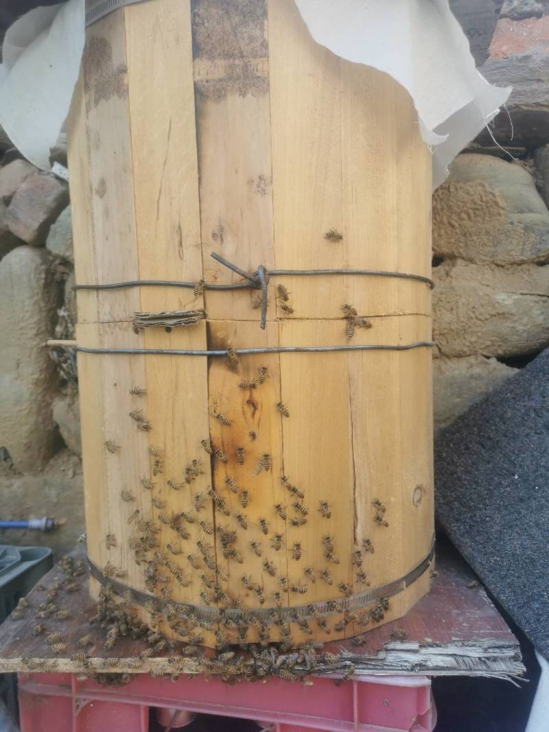 神農架土蜂蜜，好山好水好好空氣，産出天然好蜂蜜