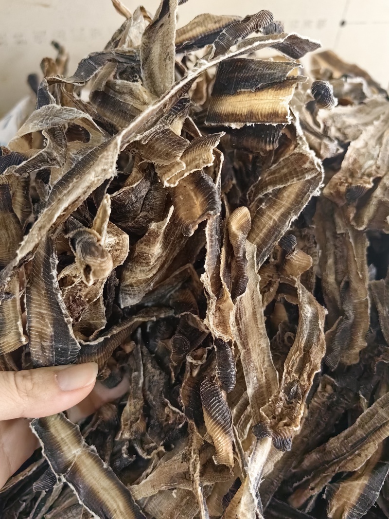 地龙批发优质全开地龙规格齐全可供大货量大价优