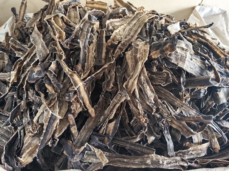 地龙批发优质全开地龙规格齐全可供大货量大价优