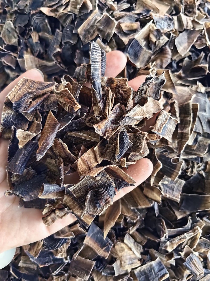 地龙批发优质全开地龙规格齐全可供大货量大价优
