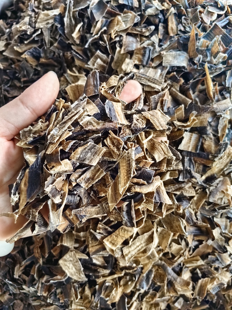 地龙批发优质全开地龙规格齐全可供大货量大价优