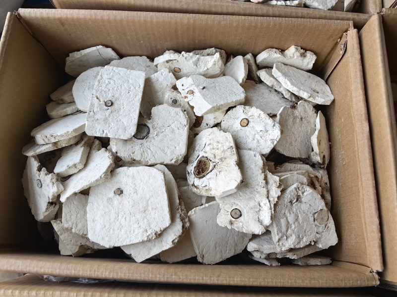 批发优质茯神规格齐全产地货源量大价优可供大货