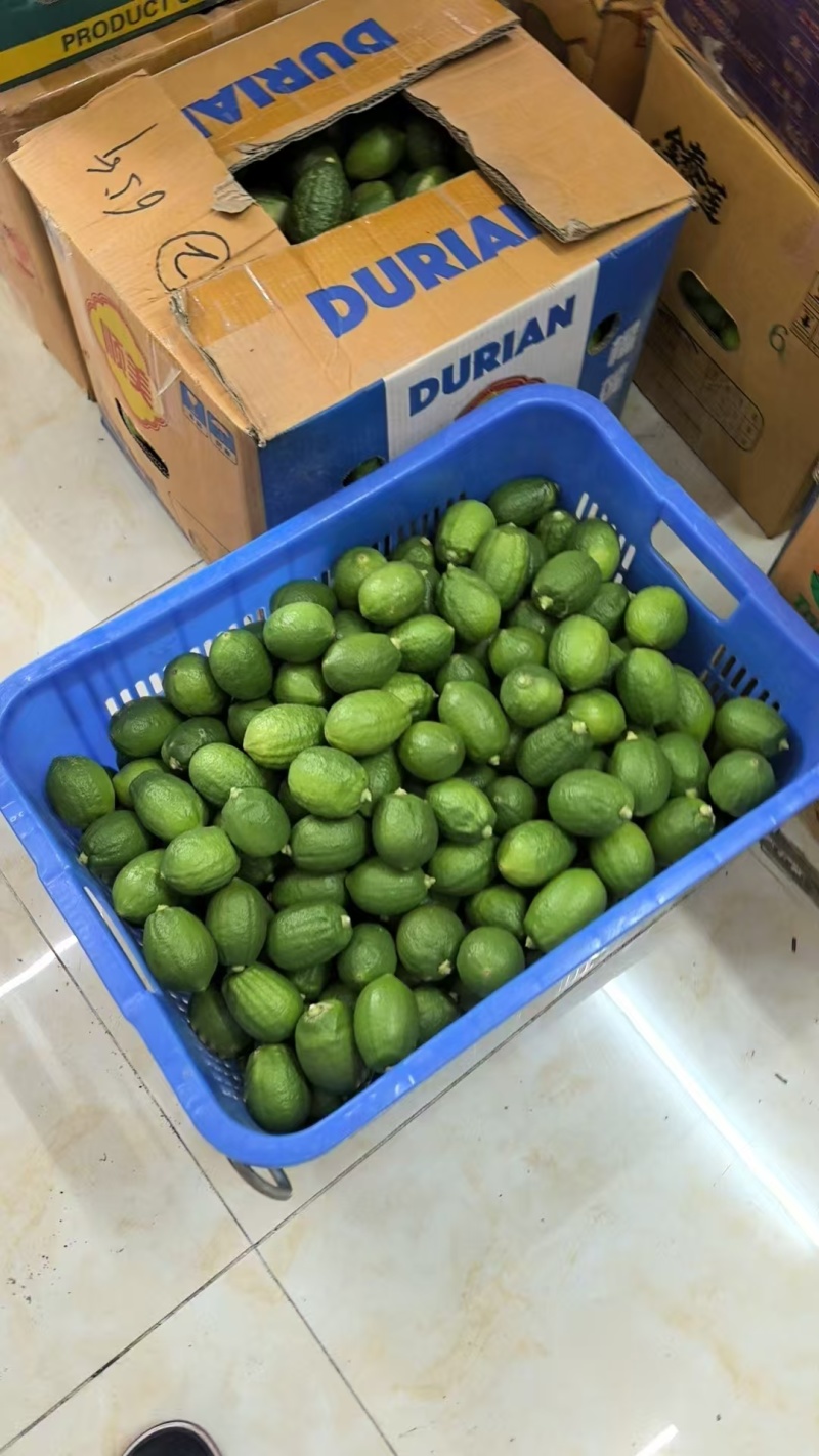 精品广东香水柠檬江门产地一手货源保证质量支持一件代发