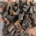批发清水吊杆水蛭规格齐全可供大货量大价优