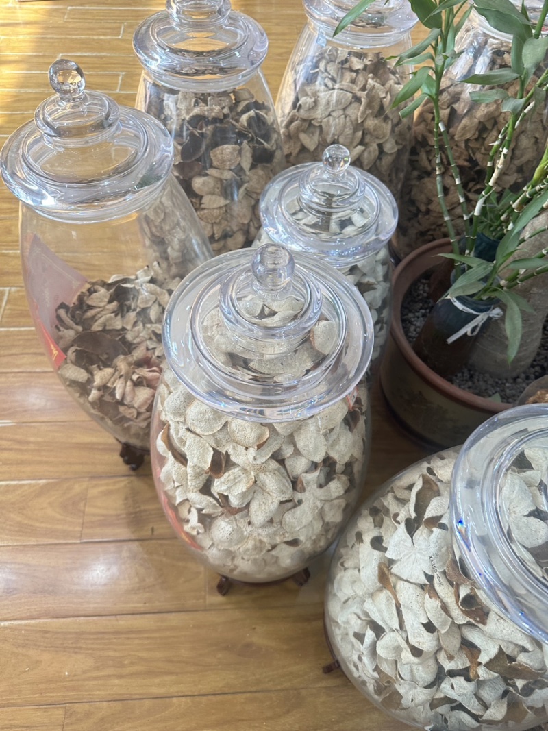 广东老陈皮