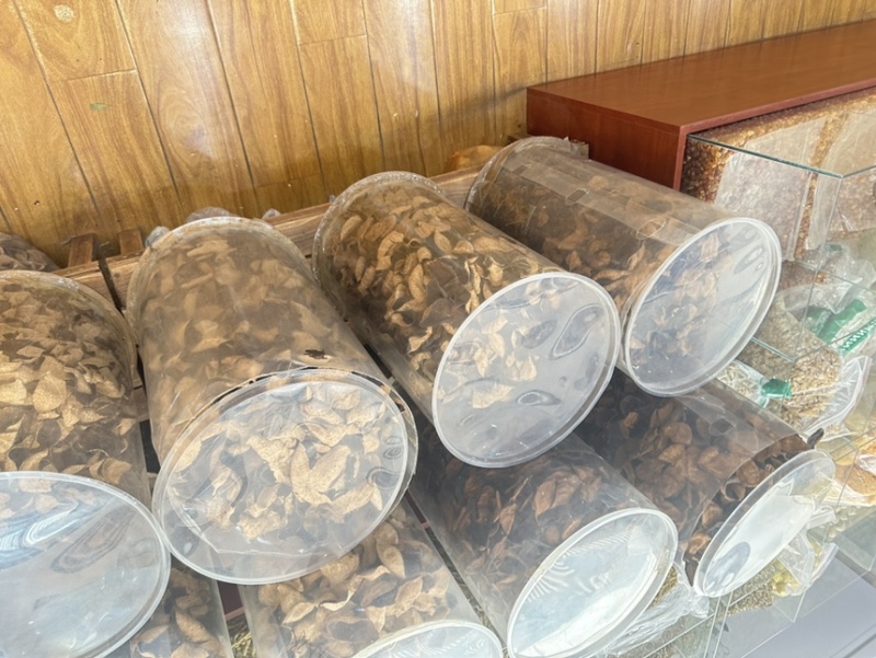 广东老陈皮