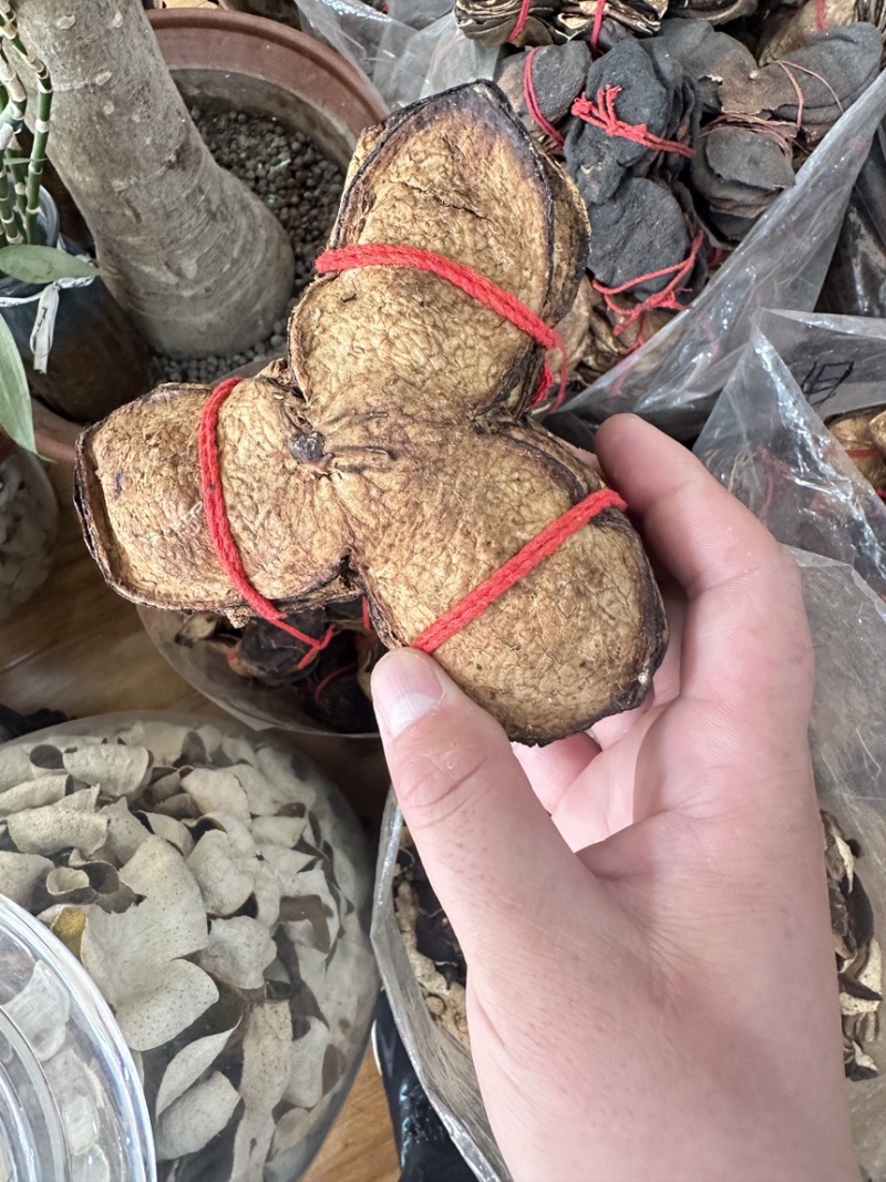 广东老陈皮