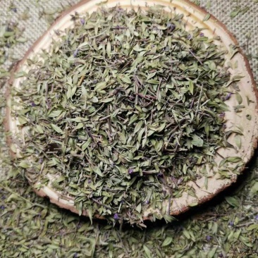 中药材百里香香料百里香草地椒叶